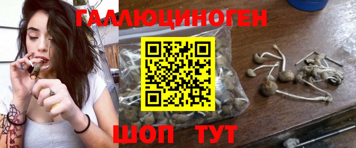 Псилоцибиновые грибы Psilocybe  Псилоцибиновые грибы GOLDEN TEACHER  Вход с VPN  Можайск 